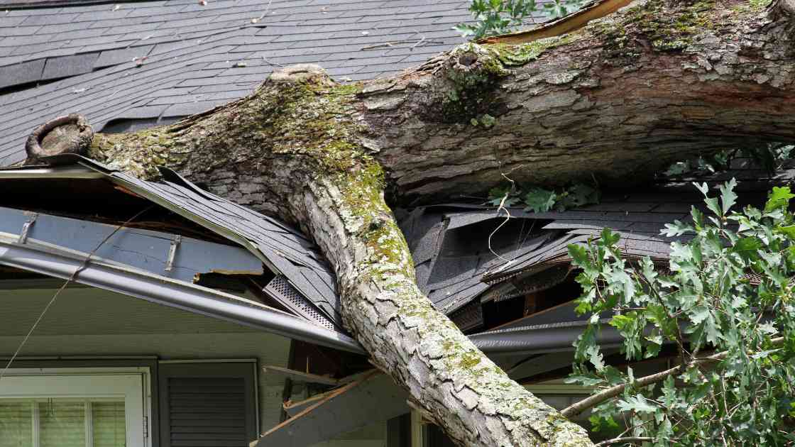 residential home with fallen tree on roof causing significant damage and need to file a storm damage claims